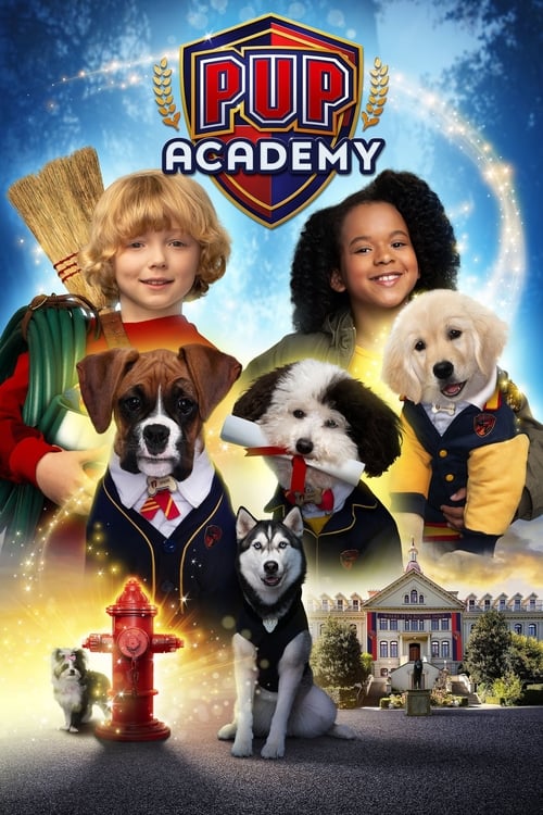 Pup Academy : 1.Sezon 8.Bölüm