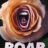 Roar : 1.Sezon 8.Bölüm izle