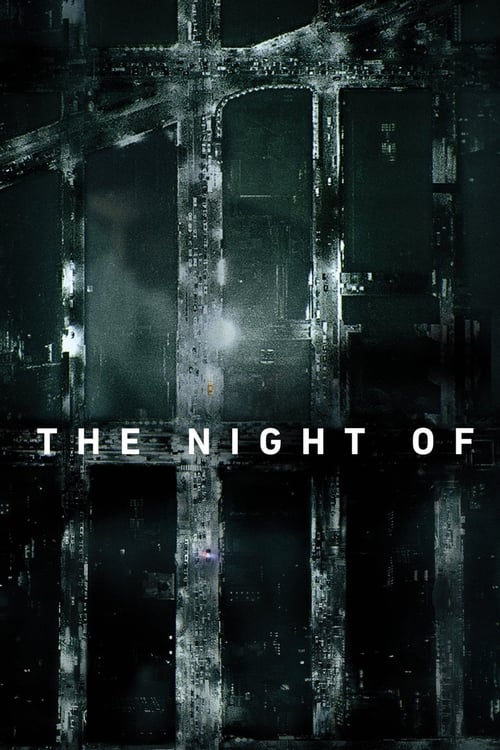 The Night Of : 1.Sezon 7.Bölüm